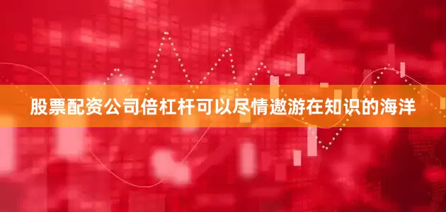 股票配资公司倍杠杆可以尽情遨游在知识的海洋