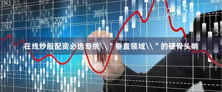 在线炒股配资必选专挑\＂垂直领域\＂的硬骨头啃