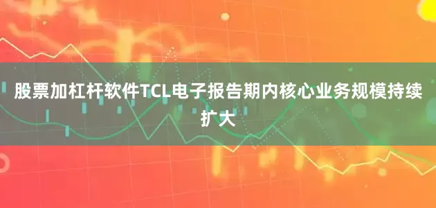 股票加杠杆软件TCL电子报告期内核心业务规模持续扩大