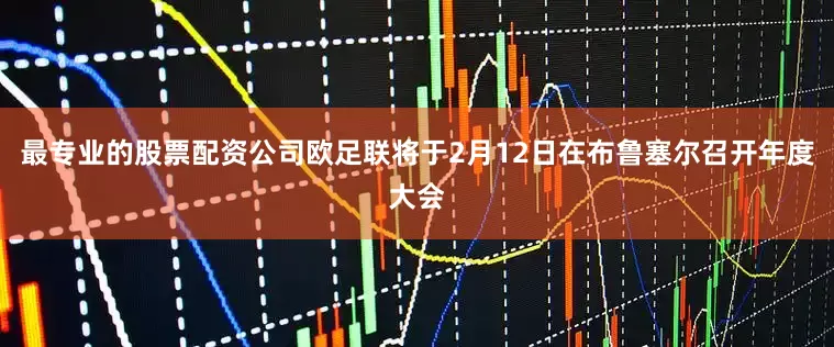 最专业的股票配资公司欧足联将于2月12日在布鲁塞尔召开年度大会